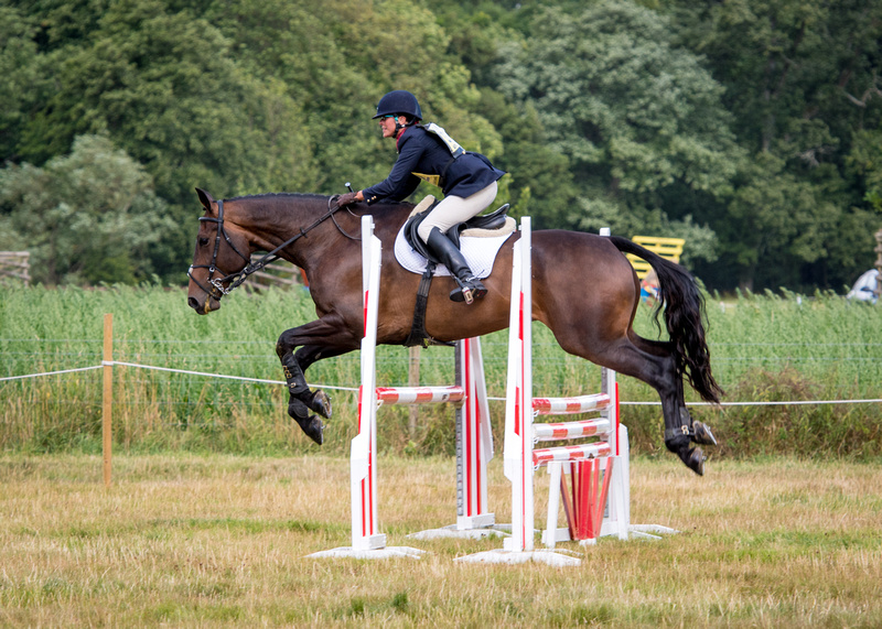 Zenfolio | Sandra Groves | Wilton Horse Trials 2018